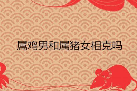 93年生肖屬雞婚姻配對(duì)結(jié)果