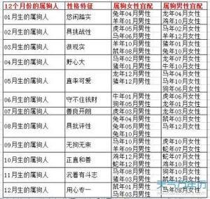 93年男婚配好對(duì)象生肖 屬狗女和屬豬男相配嗎婚姻