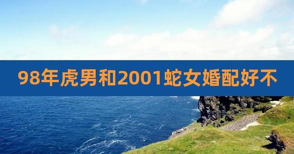 2001年屬蛇的最佳婚配 2001屬蛇女孩姻緣在哪一年