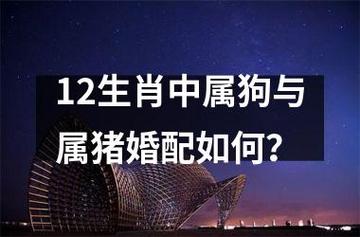 男豬女狗結(jié)婚會(huì)幸福嗎？屬狗三月份出生的命運(yùn)好嗎？ 為什么說(shuō)豬狗不到頭真的不能結(jié)婚嗎
