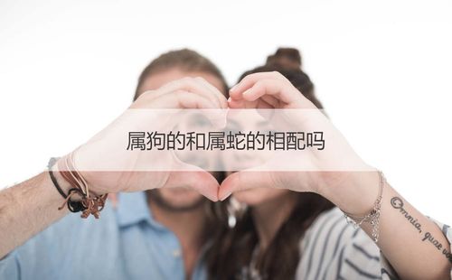 屬狗男屬蛇女婚配 屬蛇女和屬豬男相配嗎