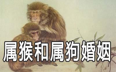 2006年屬狗女孩姻緣在哪一年 2006年屬狗女的婚姻感情