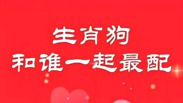 狗配什么生肖結(jié)婚最好 屬狗的人最佳婚配屬相