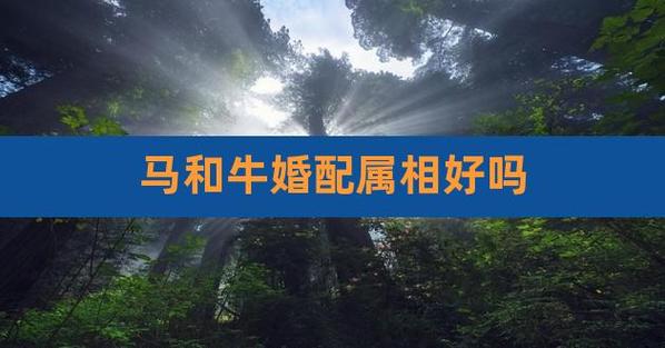 屬牛人和屬馬人屬相相沖還是相合？適合結(jié)婚嗎？ 屬牛和屬馬的人結(jié)婚好不好